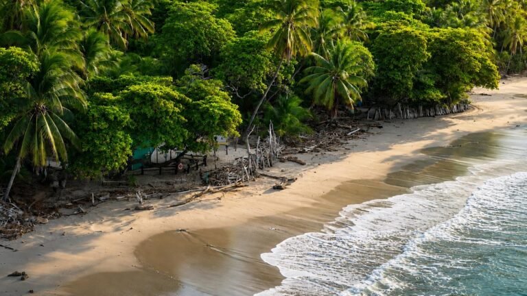 Best Things to Do in Montezuma Costa Rica: More Than Beaches and Waterfalls